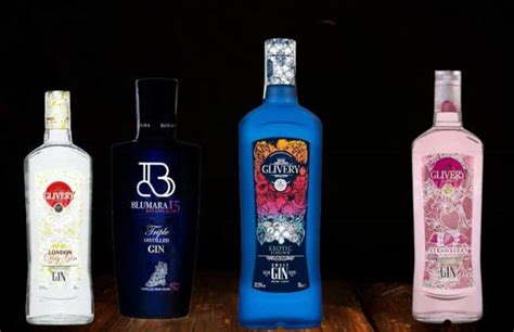Ginebra Mercadona ¡Descubre Su Calidad y Precio Competitivo!.